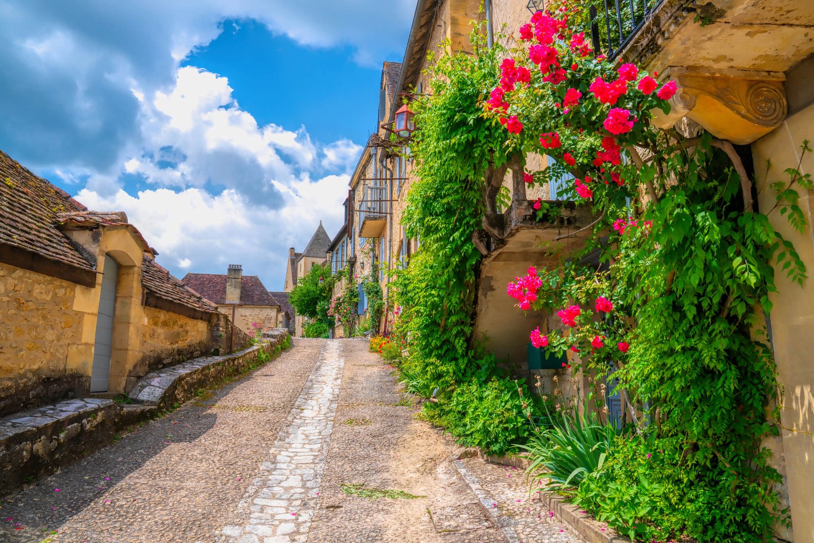 Marché de Belvès en Périgord, proche du camping la bastide
